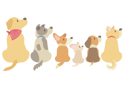犬イラスト002